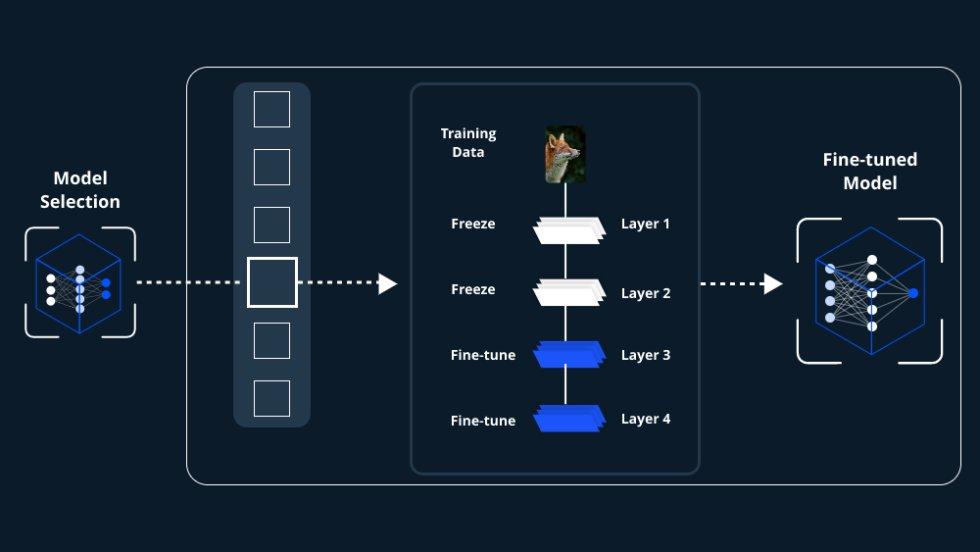 Fine-tuning Pre-Trained Models for Generative AI Applications by Benjamin lapid - Issuu