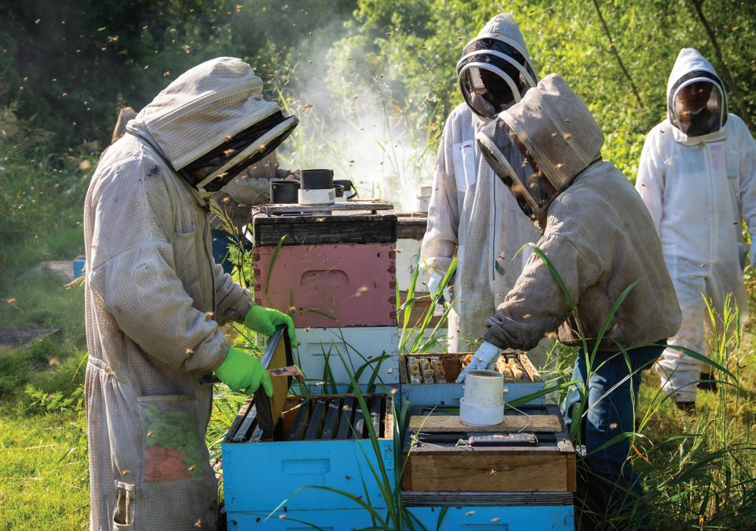 What Happened When Beekeeper's Naturals Got A Rebrand That Wasn't On-Brand