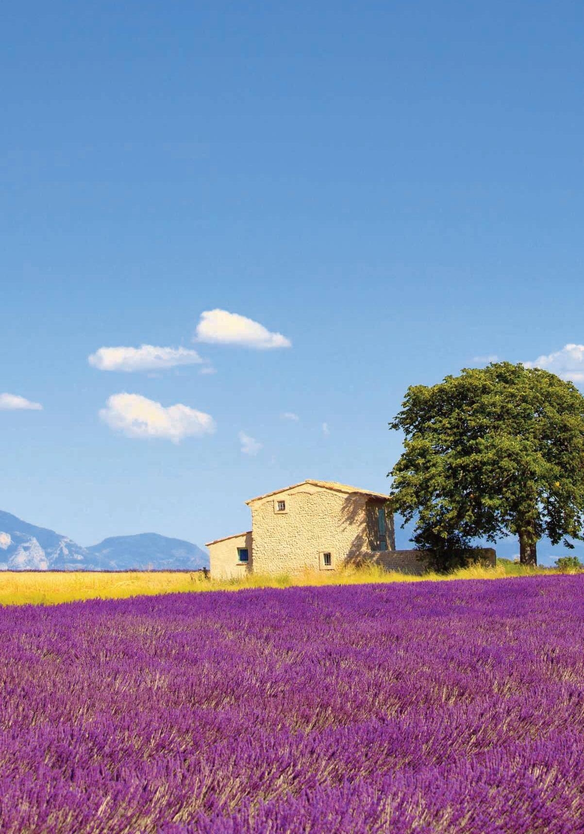 Group Travel Today Planning Guide 2023/2024 by Beau Media Issuu