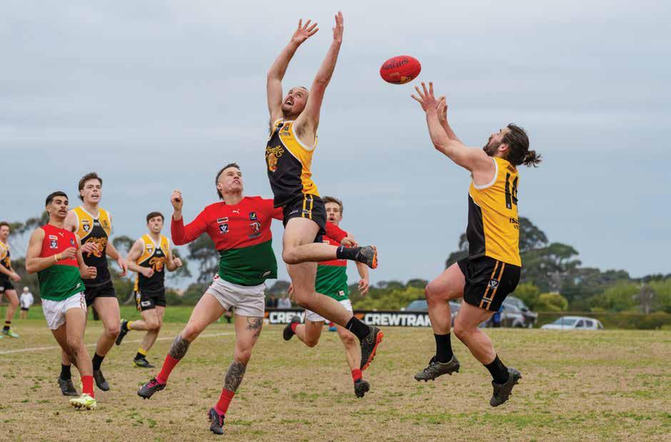Bulls crash out of finals, Stonecats succeed