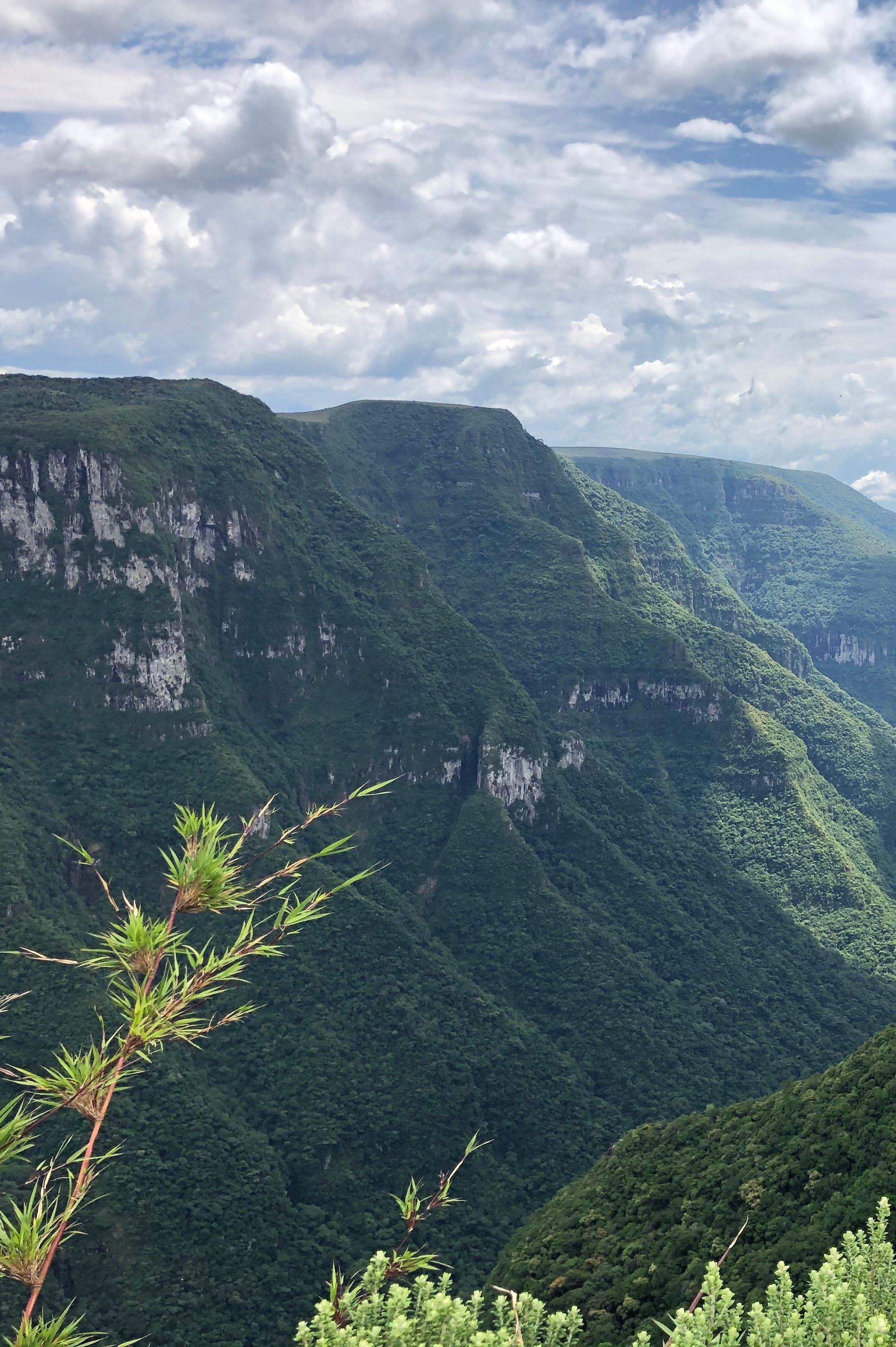 6 atrações imperdíveis para curtir em municípios de Rondônia - Portal  Amazônia