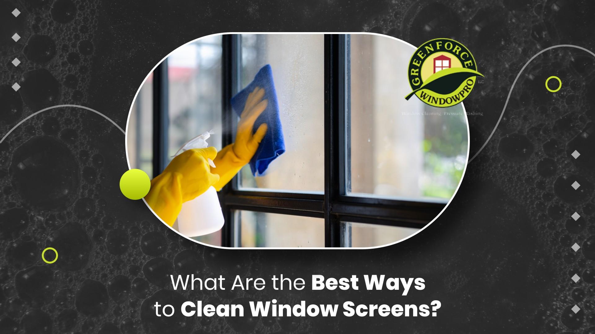 What Are the Best Ways to Clean Window Screens? by greenforcewindowpr
