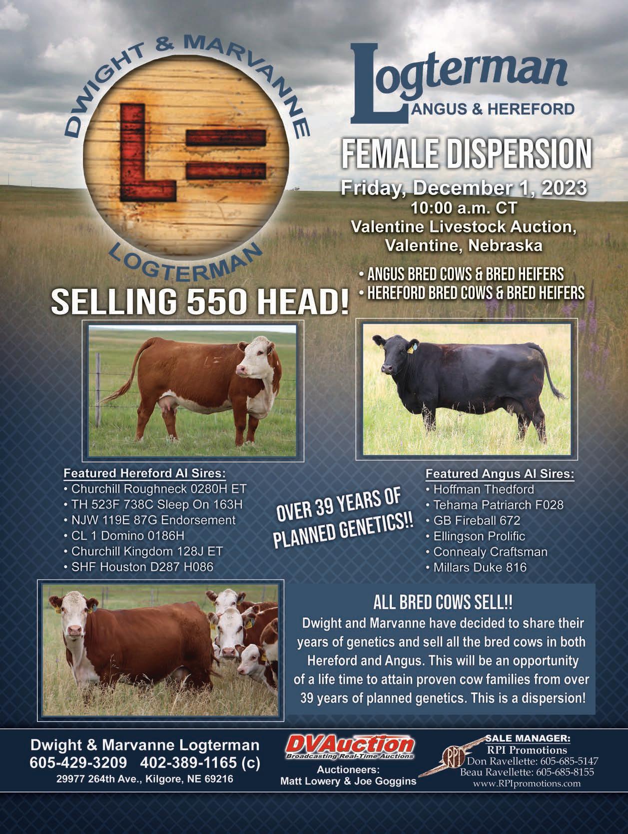 Nebraska State Fair 2025 Unleashing the Extravaganza of a Lifetime