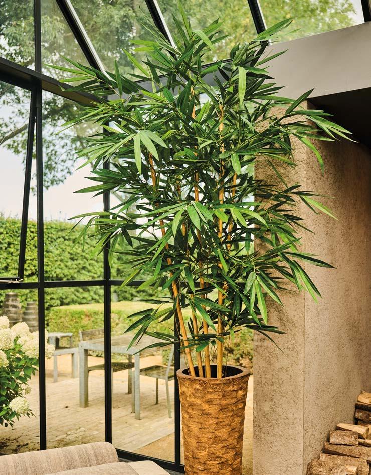 Silkka Trees and Plants for Life! Volume 6 by Silkka Issuu