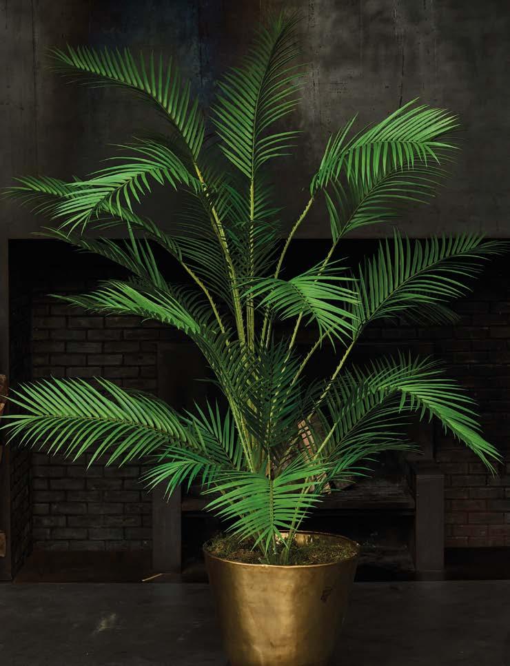 Silkka Trees and Plants for Life! Volume 6 by Silkka Issuu