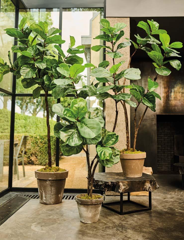 Silkka Trees and Plants for Life! Volume 6 by Silkka Issuu