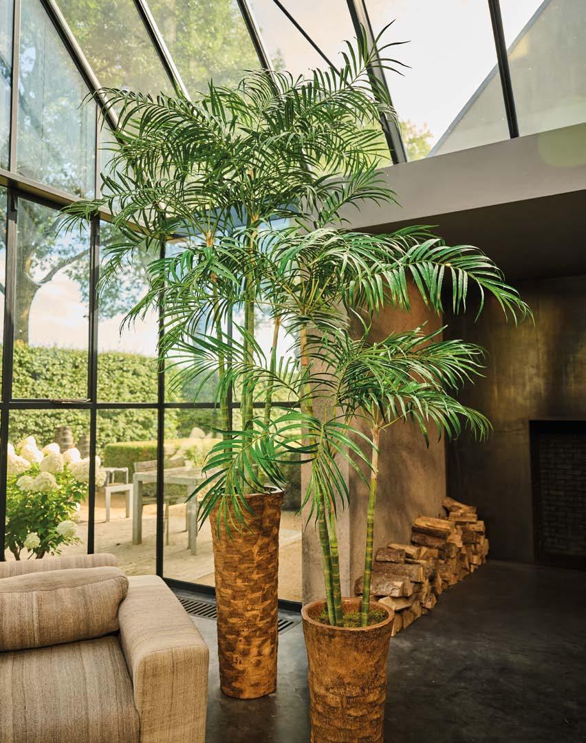 Silkka Trees and Plants for Life! Volume 6 by Silkka Issuu