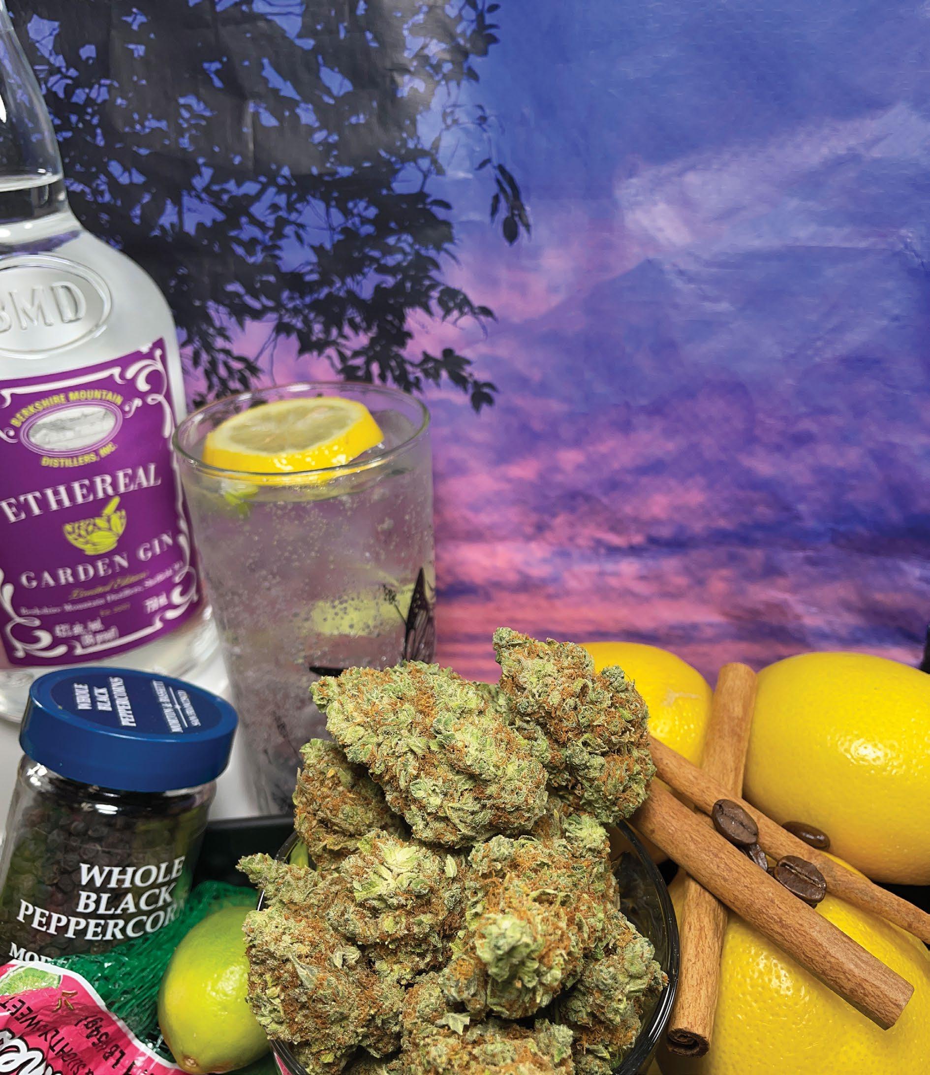 Dr. Stoner's Herbal Liquors Are Designed for Marijuana Fans