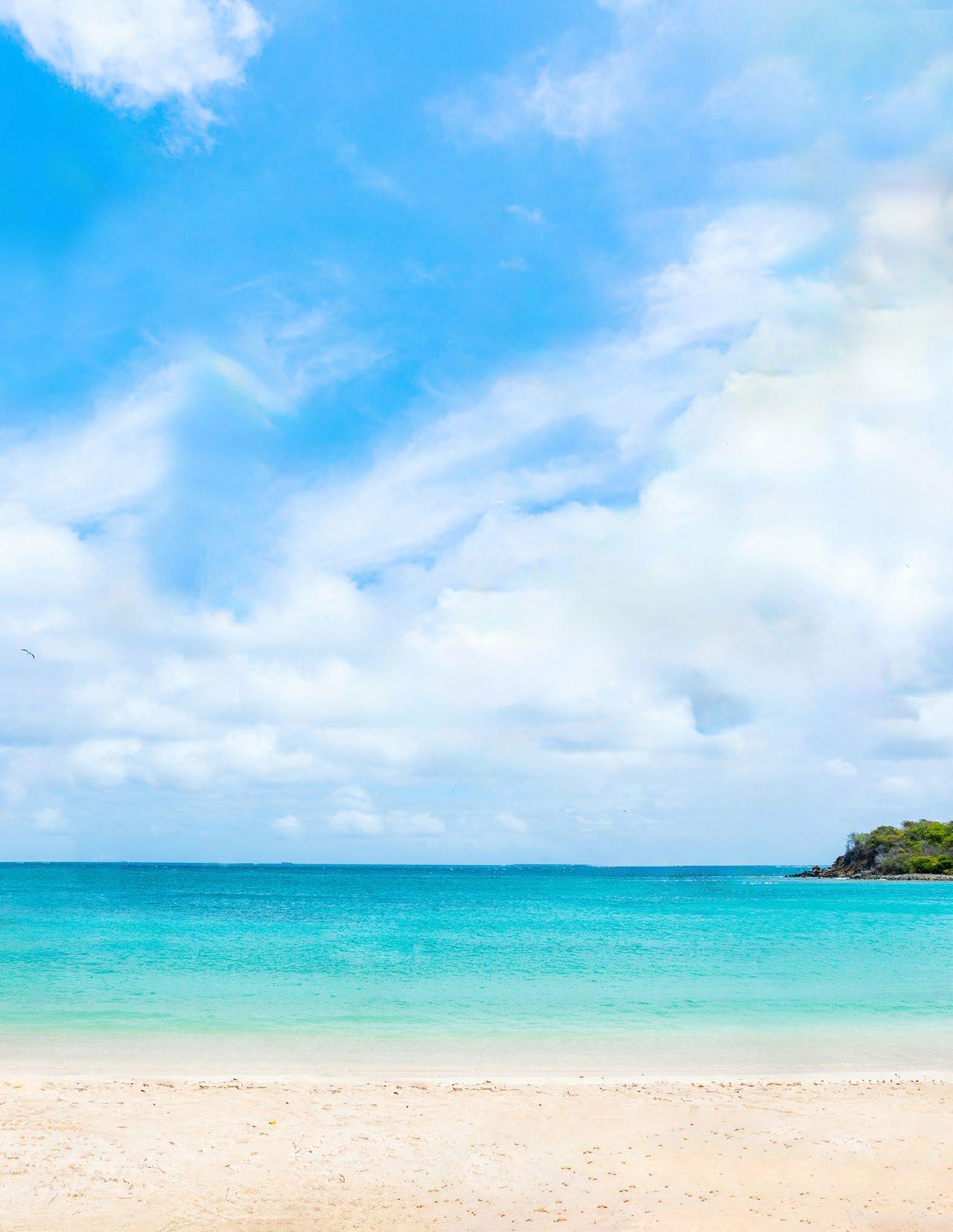  Emerald Cruises Yacht Cruise Calendar 2024- 2026 by Scenic & Emerald 