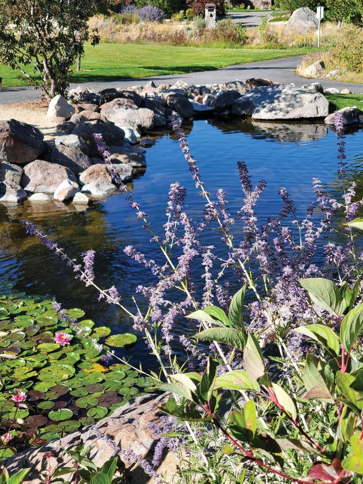 ArrowCreek View September 2023 by CCMedia Publishing Issuu