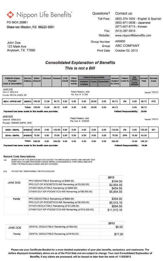 NLB Member KitEnglish by Nippon Life Benefits Issuu