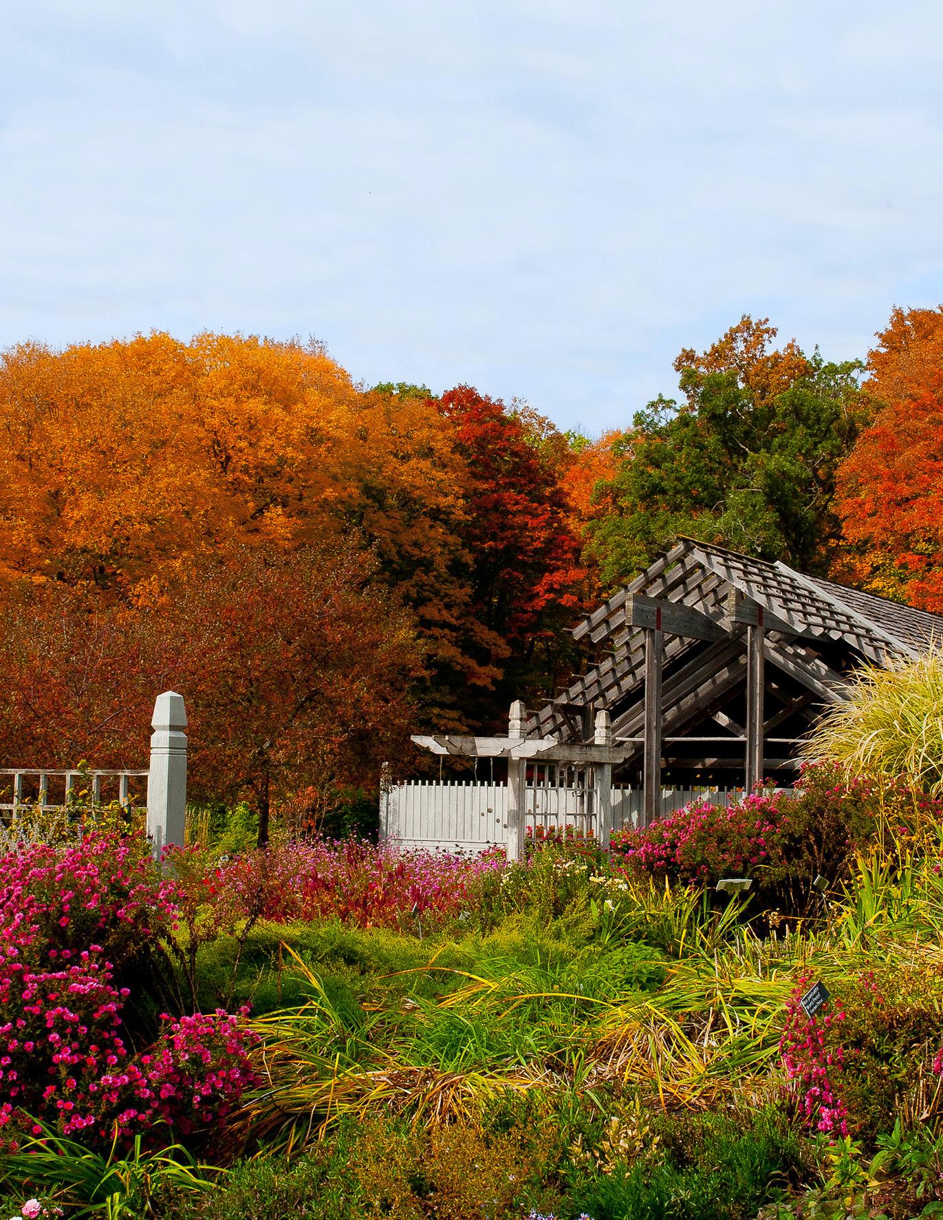 At-Home Gardening  Minnesota Landscape Arboretum