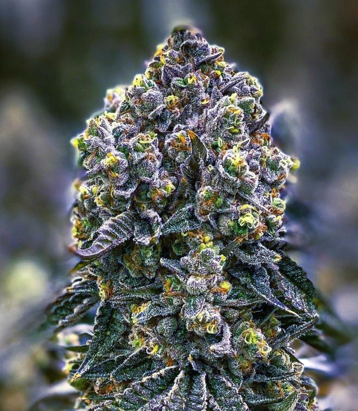 Athena Handbook TH (Metric) by Athena Ag Issuu