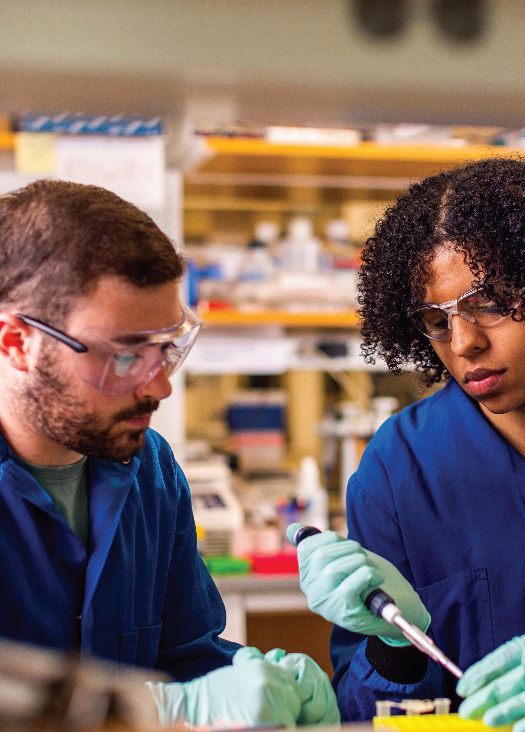 Northeastern University Bouvé College of Health Sciences Undergraduate