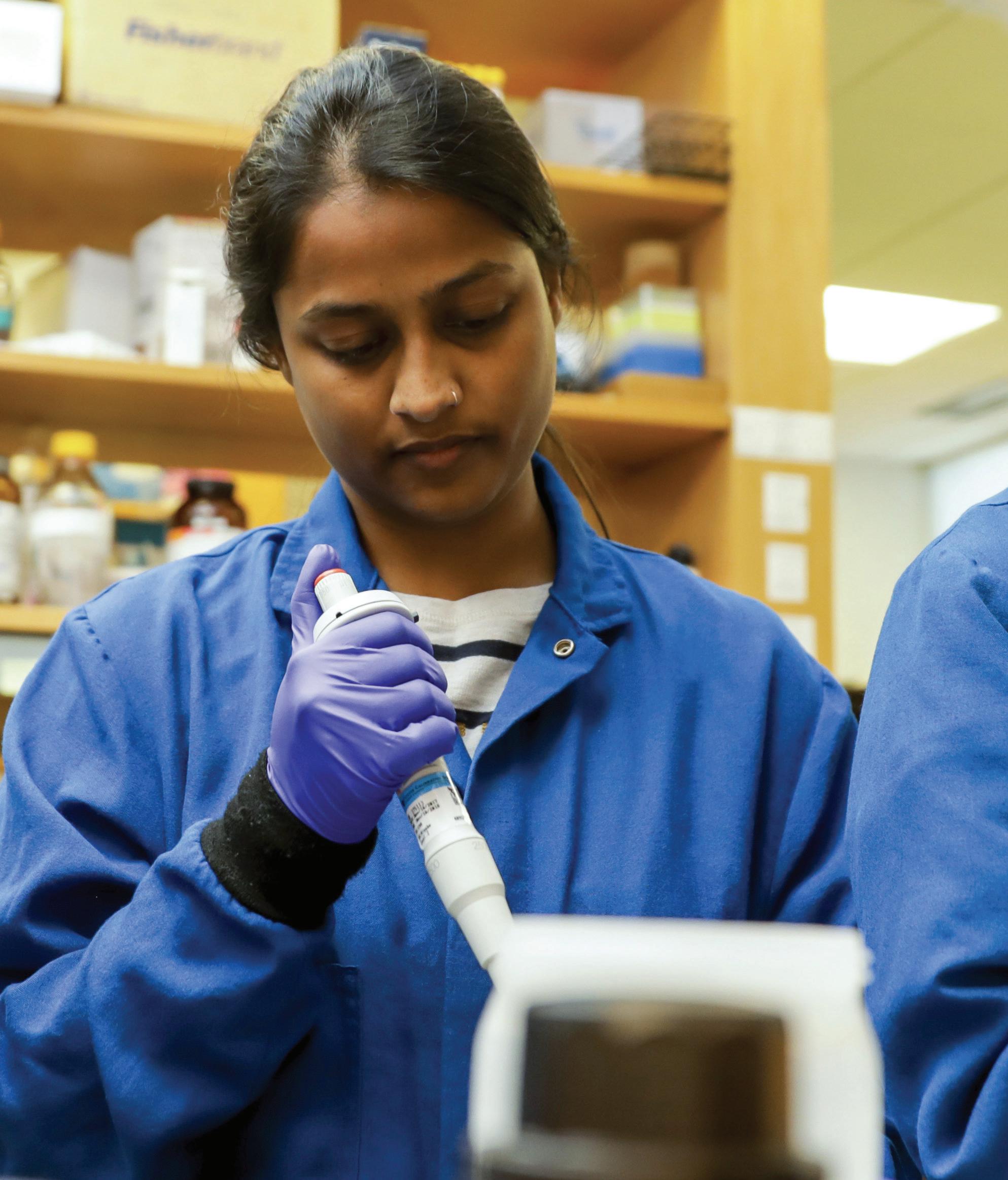 Northeastern University Bouvé College of Health Sciences Undergraduate