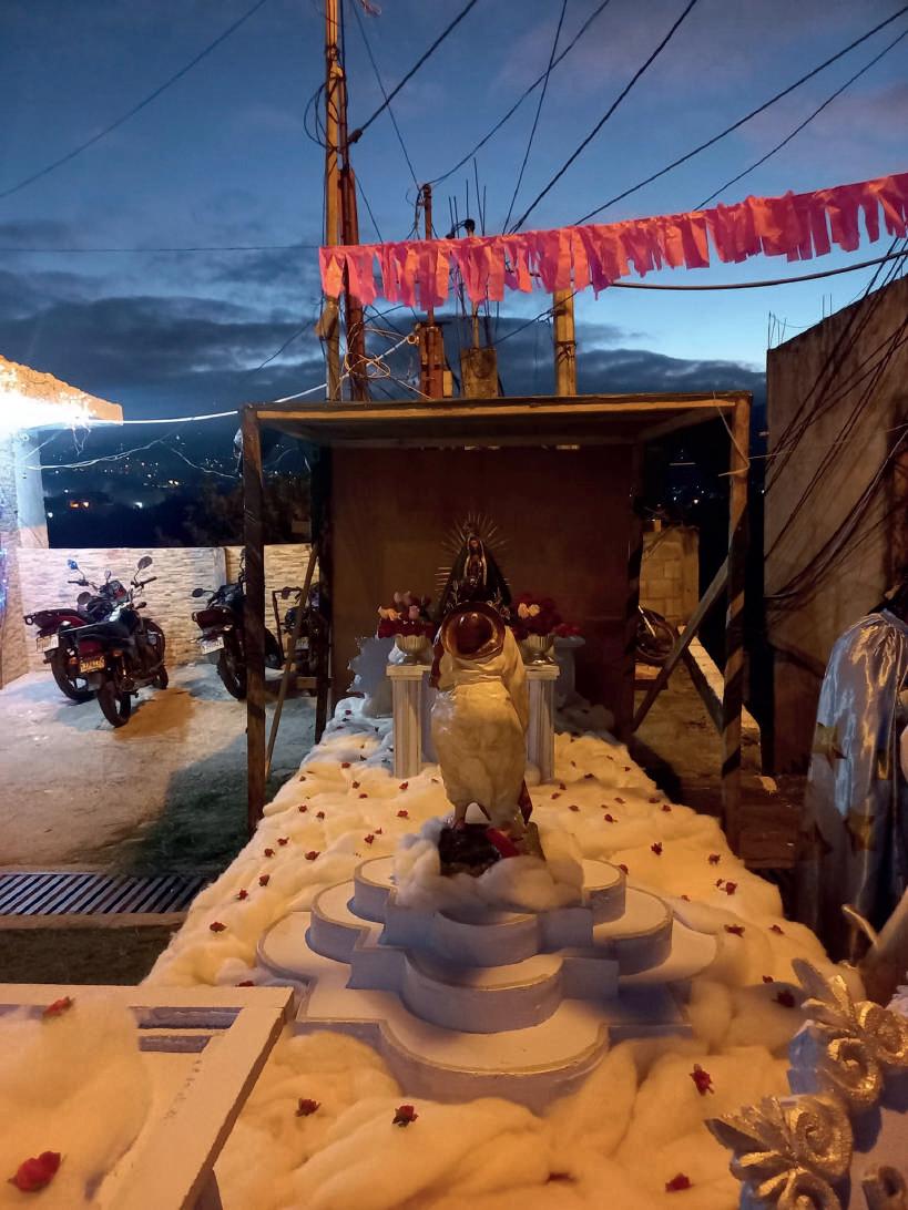 GUAJITOS ZONA 21 by Milax lopez Issuu