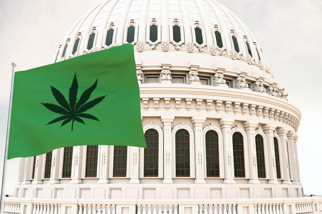 Weed Between the Lines