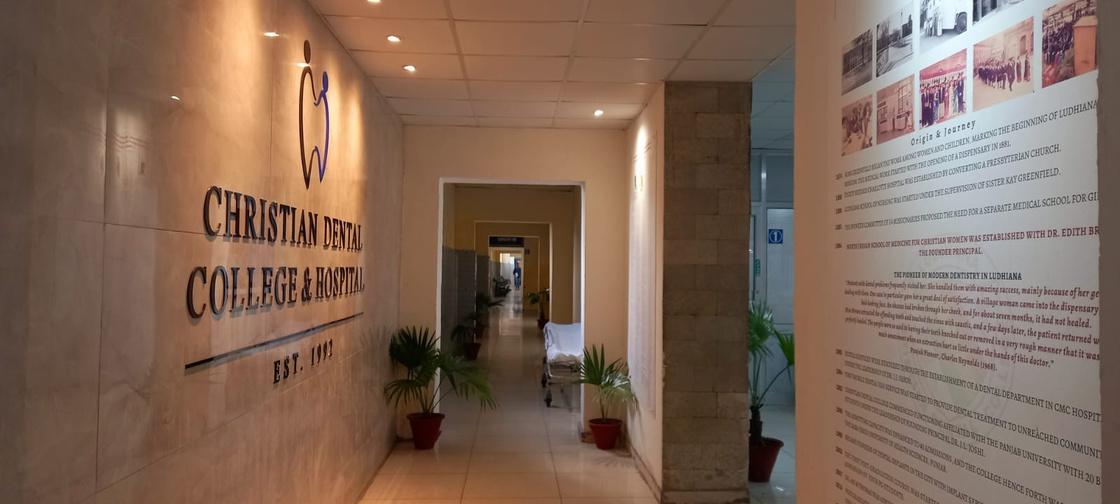 Earning a Six Figure Income From natural-looking fillings