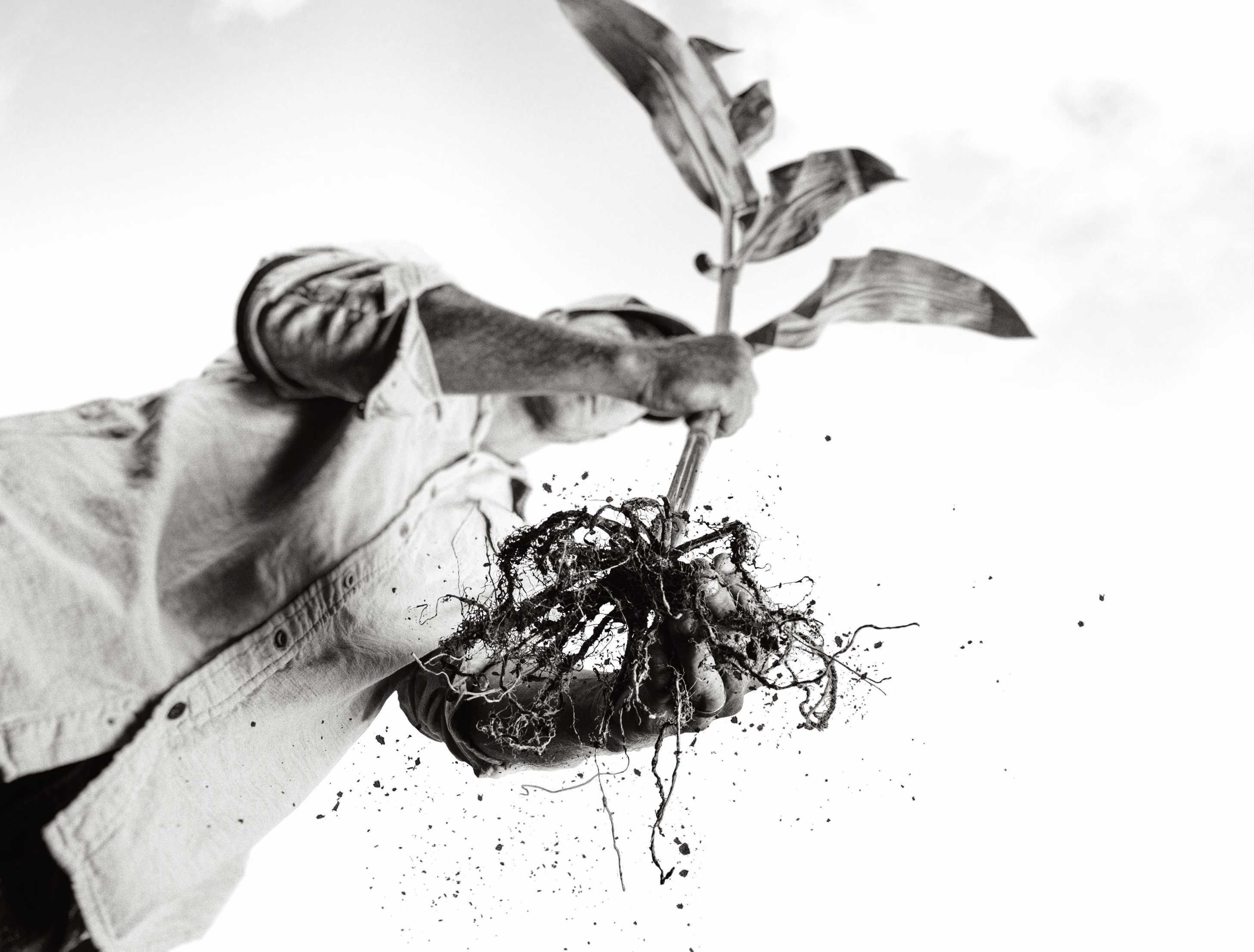 レム -ウエディングドレス- 1/7 The Land - Sept. 15, 2023 by The Land - Issuu