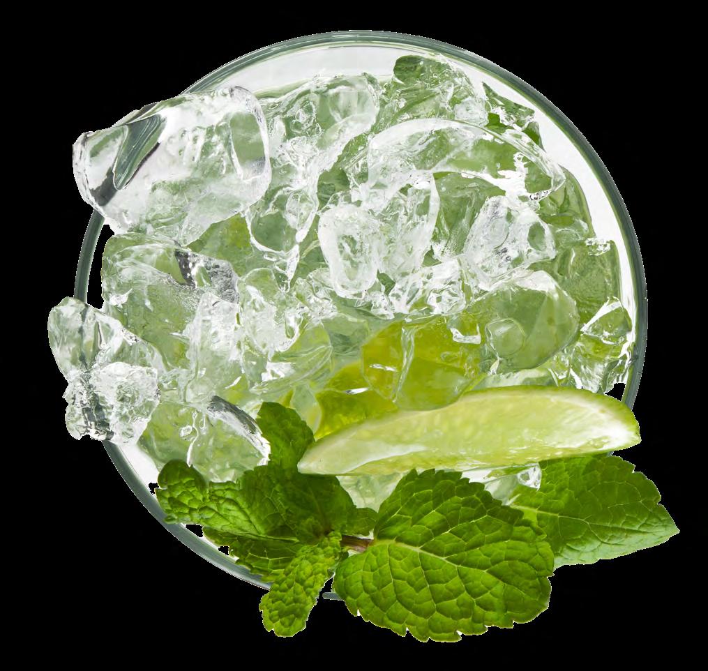 TricorBraun Spirits Brochure and Catalog by TricorBraun Issuu