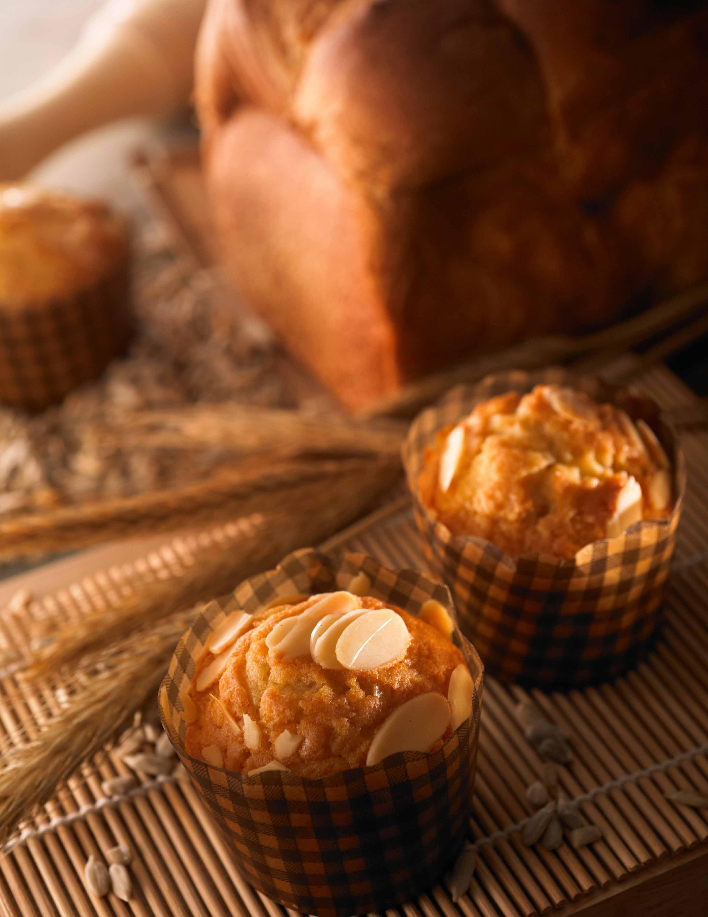 Tulane Olive Blue Catering by boardmenot2day Issuu