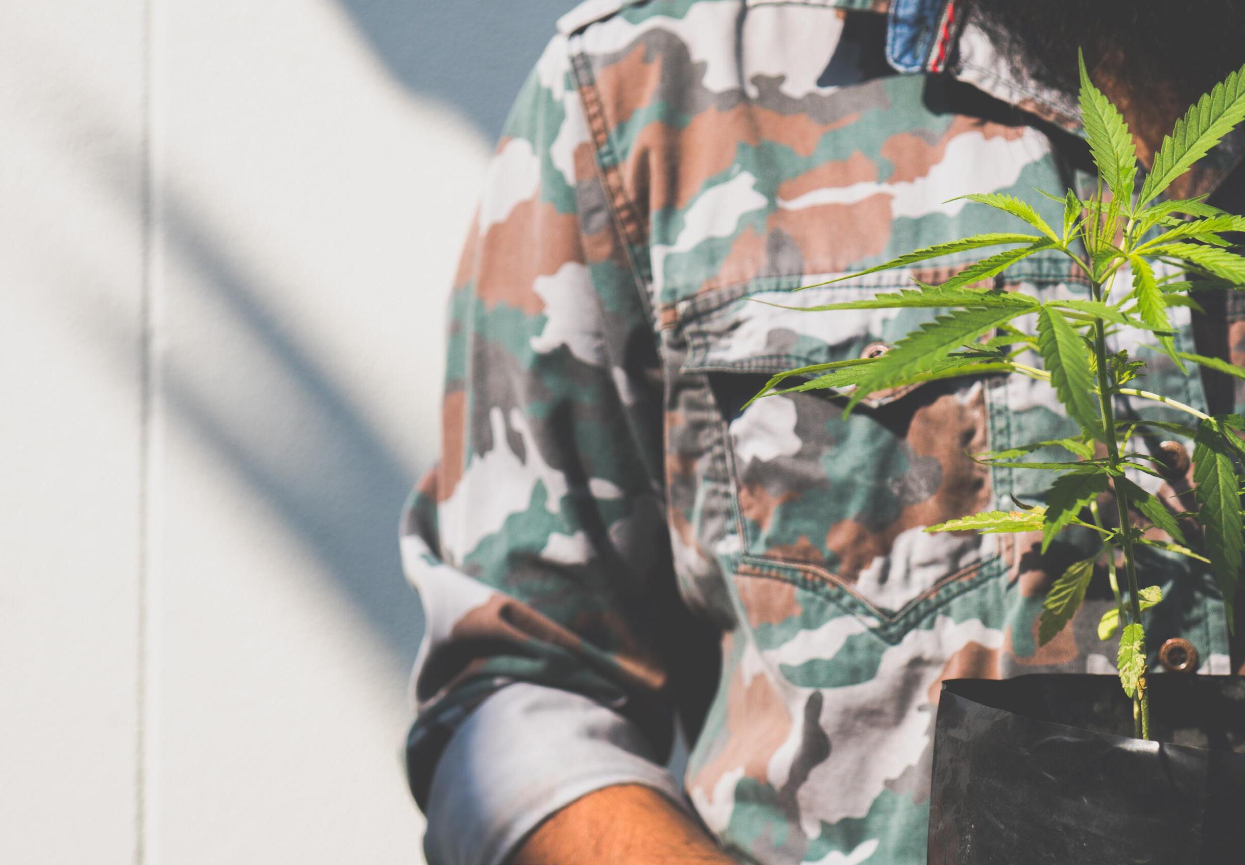 Cannabis...A Ray of Hope for Veterans