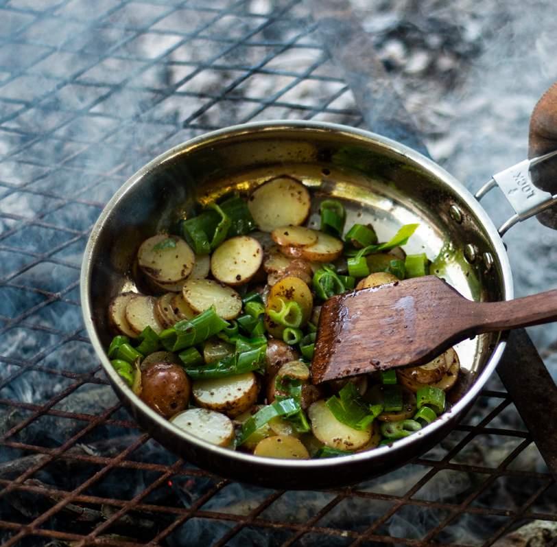 Pathfinder Catalog by srotps Issuu