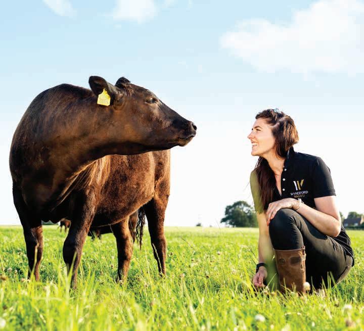Showcasing global Wagyu Sector diversity