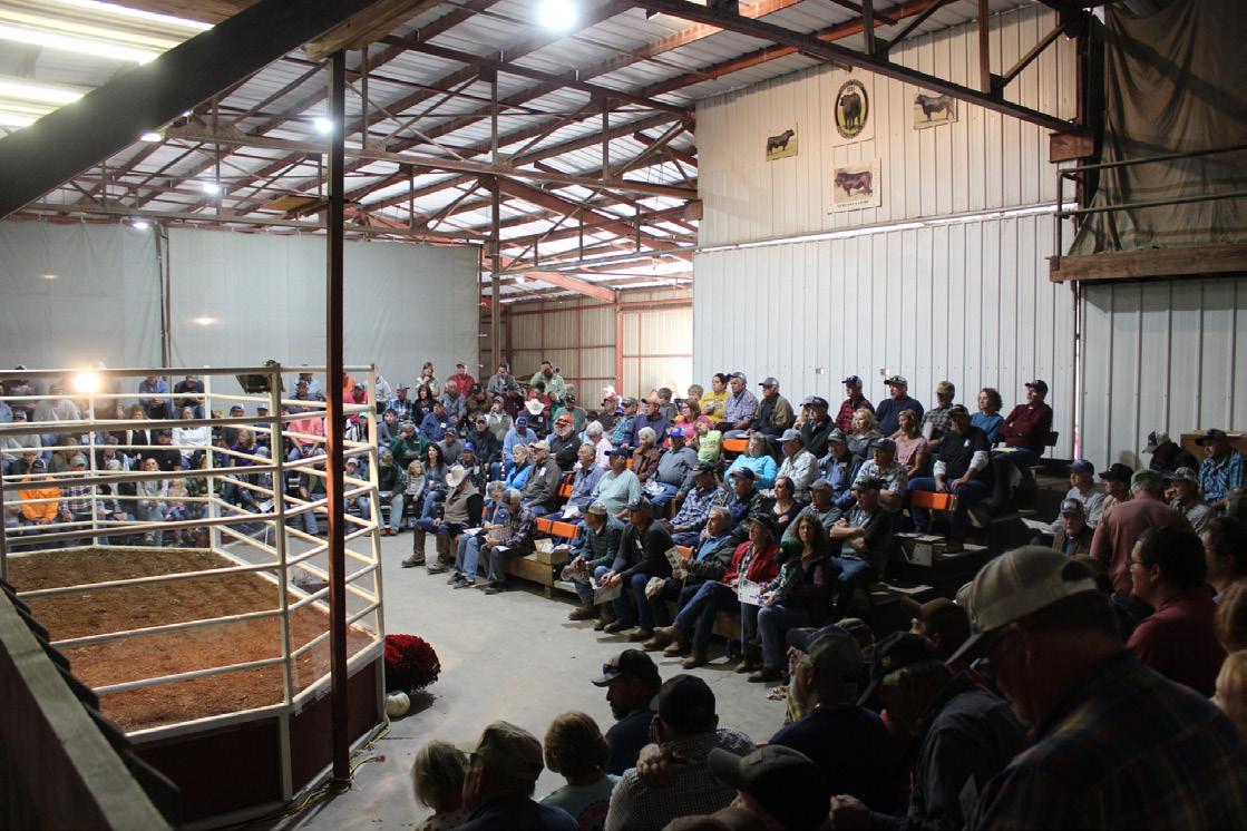 2023 BULL FEST & FEMALE SALE by reynolds0708 Issuu