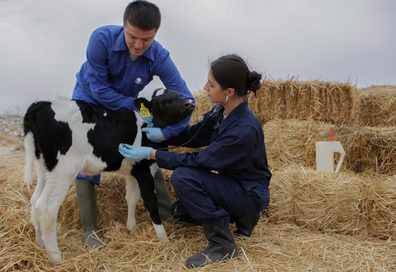 Land O'Lakes Venture37's 2022 Annual Report by landolakesinc Issuu