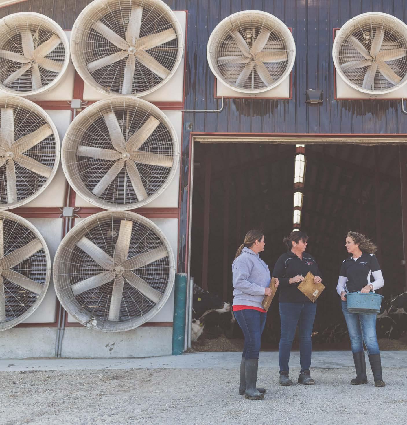 Land O'Lakes Venture37's 2022 Annual Report by landolakesinc Issuu