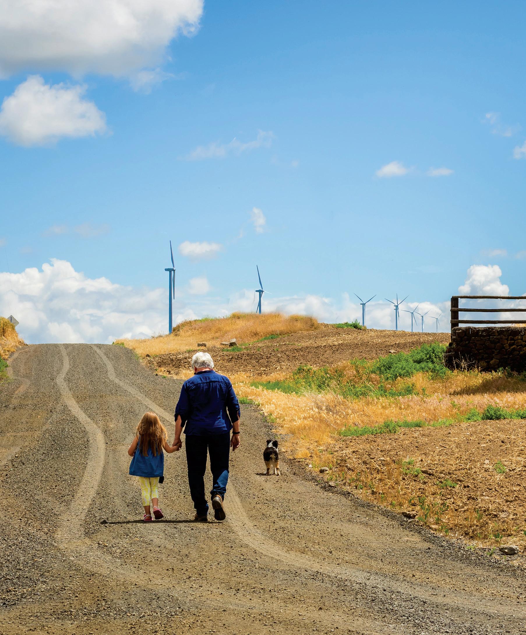The Intersection of Renewables & Real Estate
