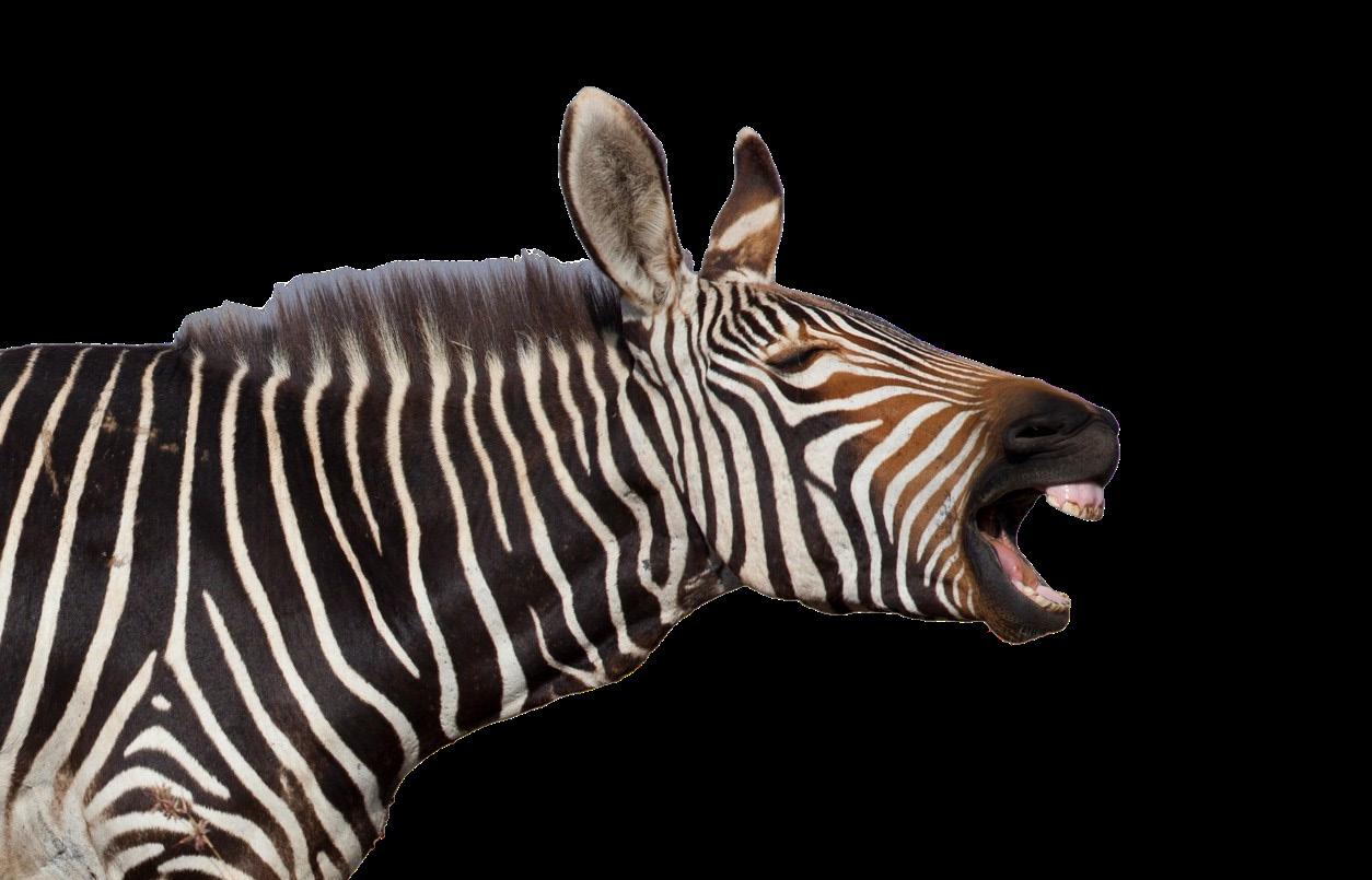 OoOOOoHHHHH Zebra by Mos Yllen - Issuu