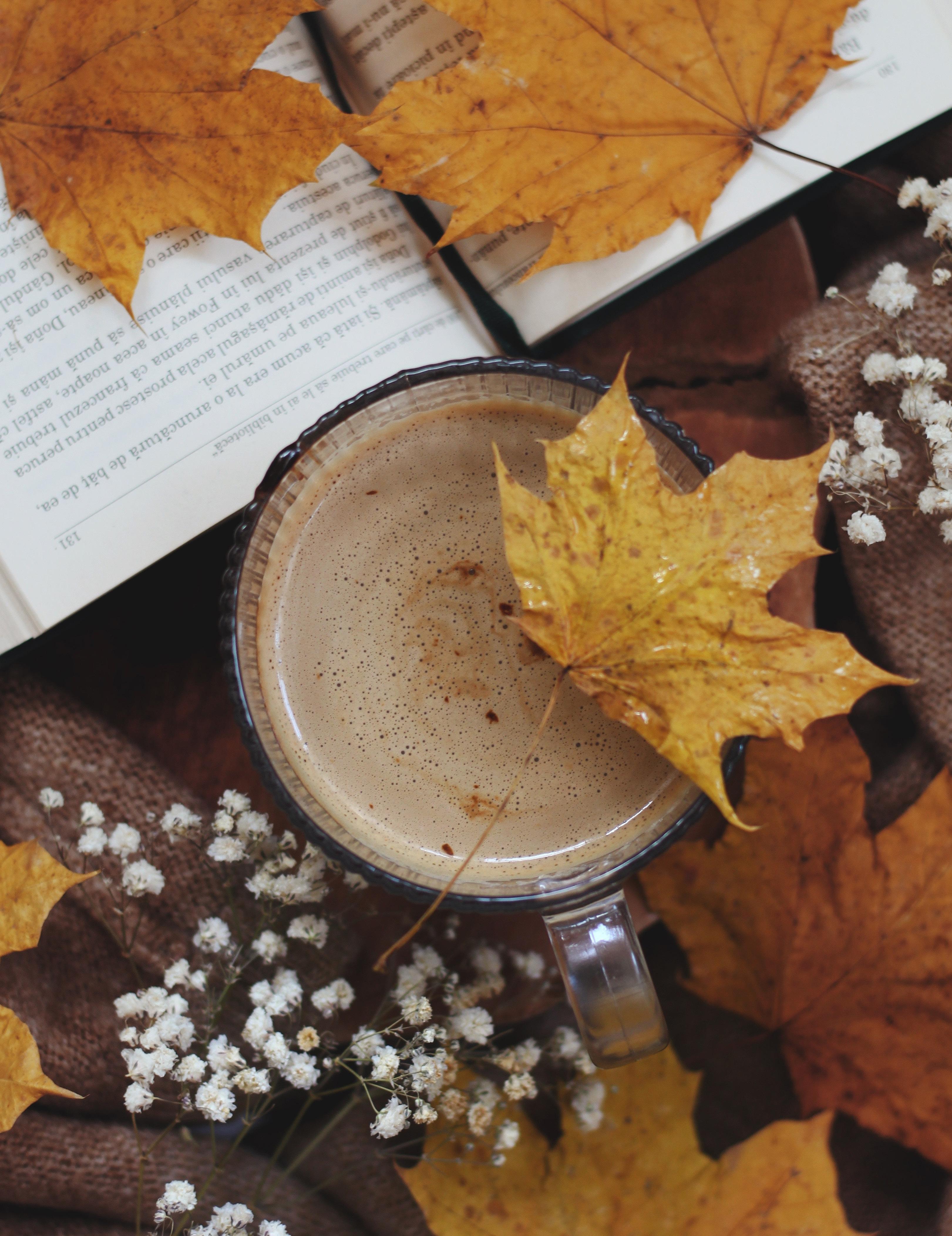 Autumn Evenings