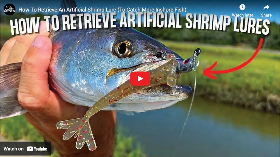 The Angler Video Magazine  October 2023 Edition by Coastal Angler