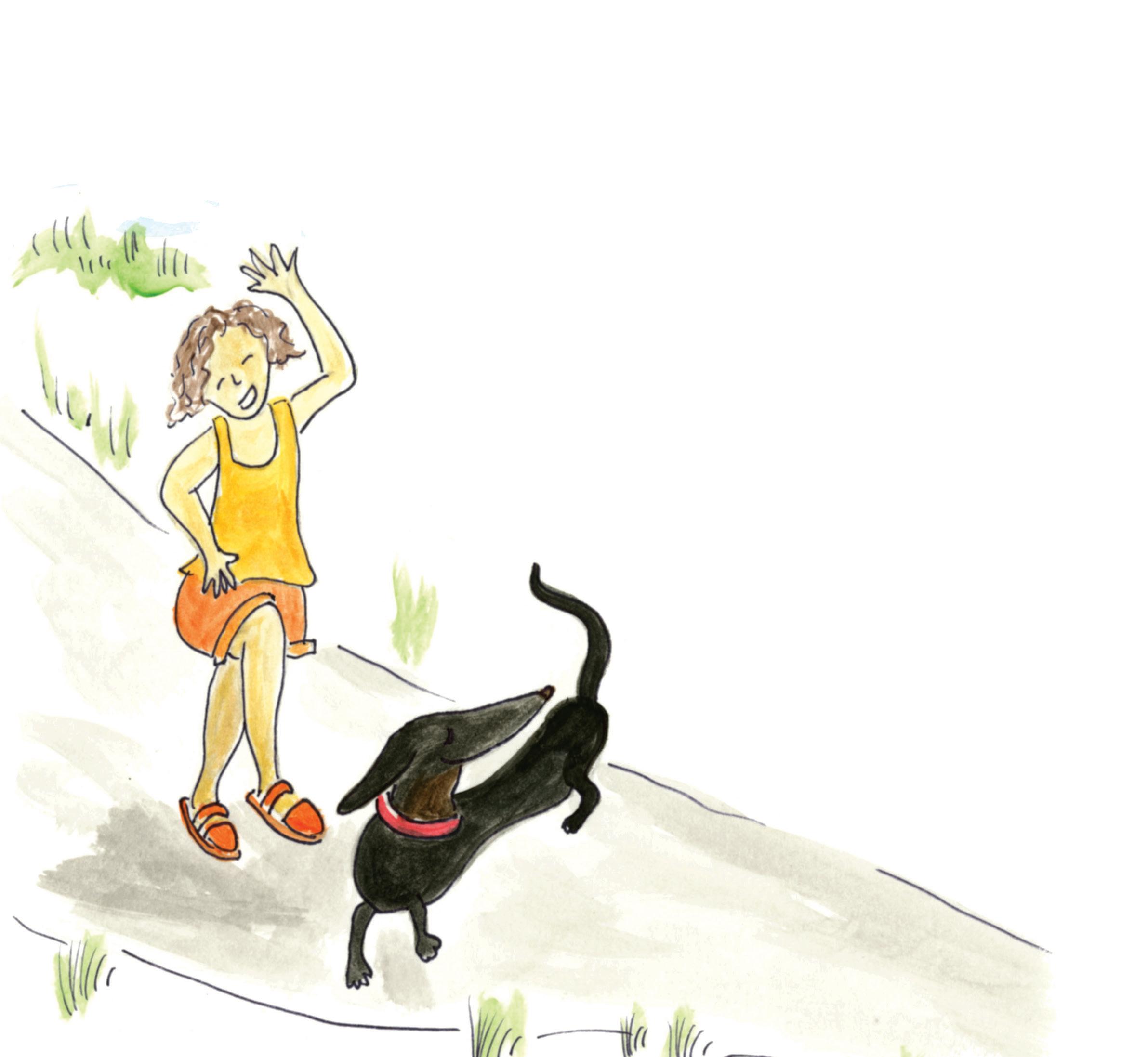 Children's Book Catalog (ACB, Pelican, Applewood Books) by Arcadia