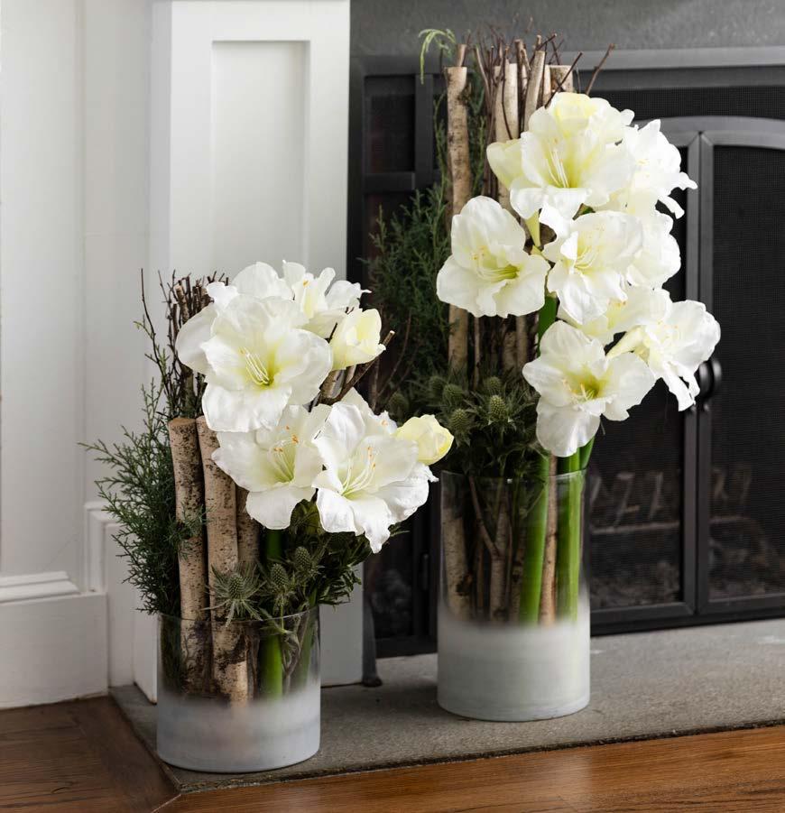 The Winston Flowers Holiday Décor Collection by winstonflowers Issuu