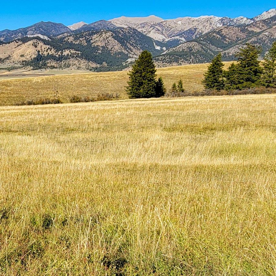 Windcall Ranch Fay Ranches by Fay Ranches Issuu