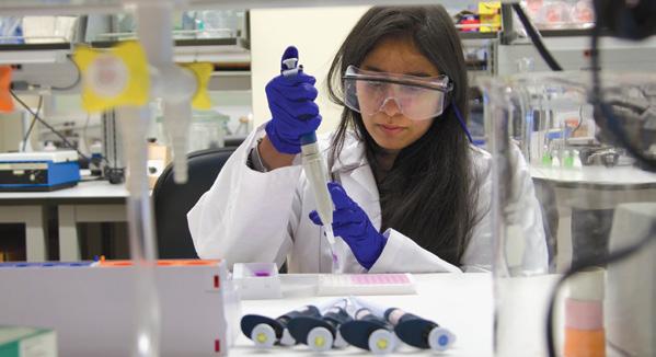 biomedical-engineering-master-s-doctoral-programs-by-spark451-issuu