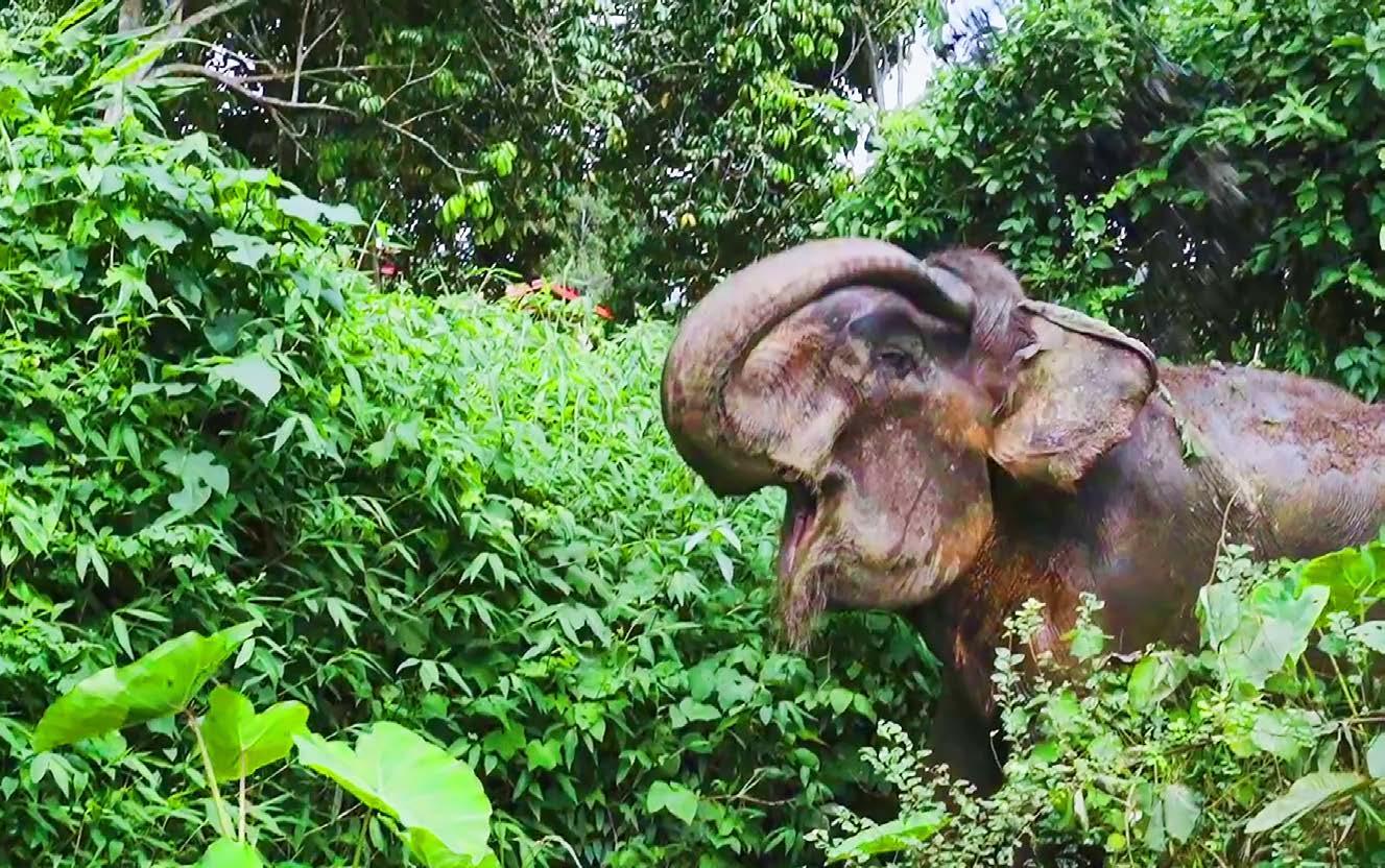 The Phuket News September 29, 2023 by image-asia - Issuu