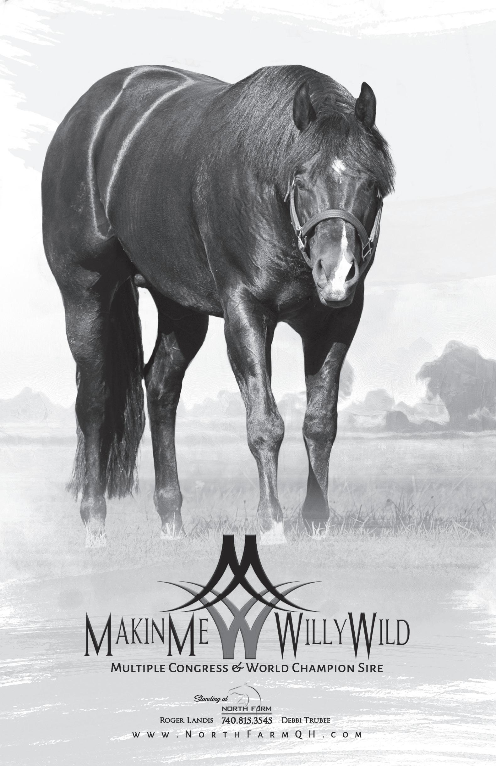 Good squishシュシュLaura Bailey xGS Stallion Super Sale by Craig Reiter - Issuu