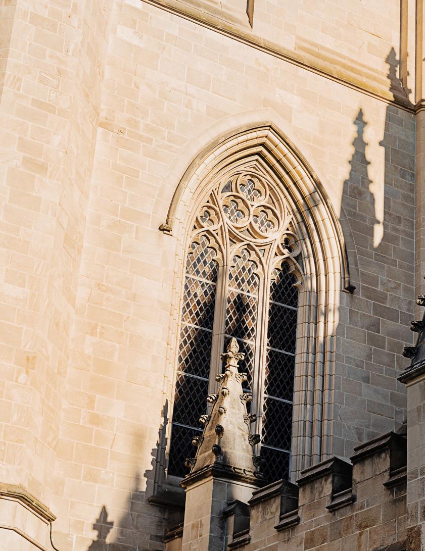 Brooke Synn Tube Search (781 Videos)