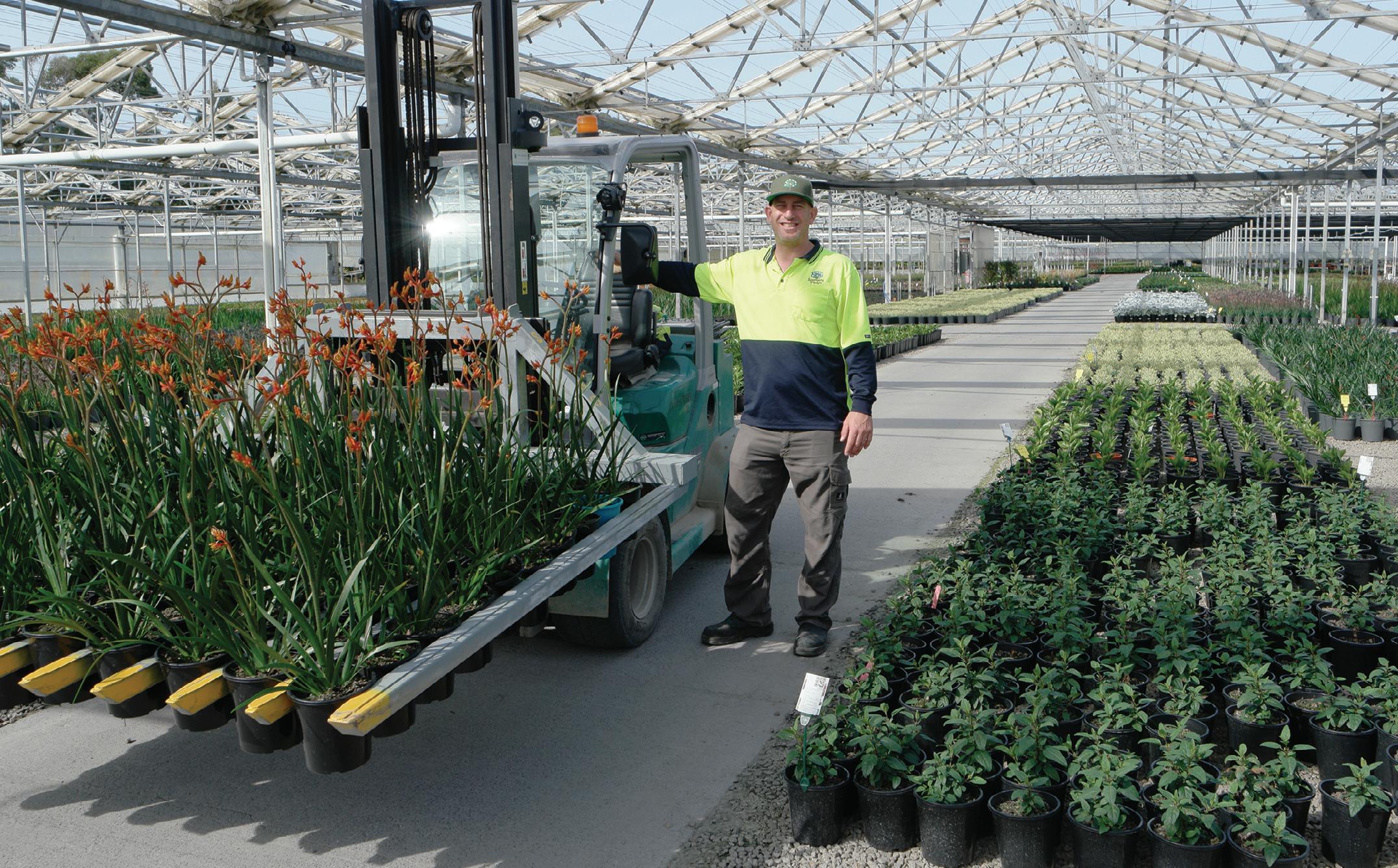 A green legacy: The evolution of Southern Plants