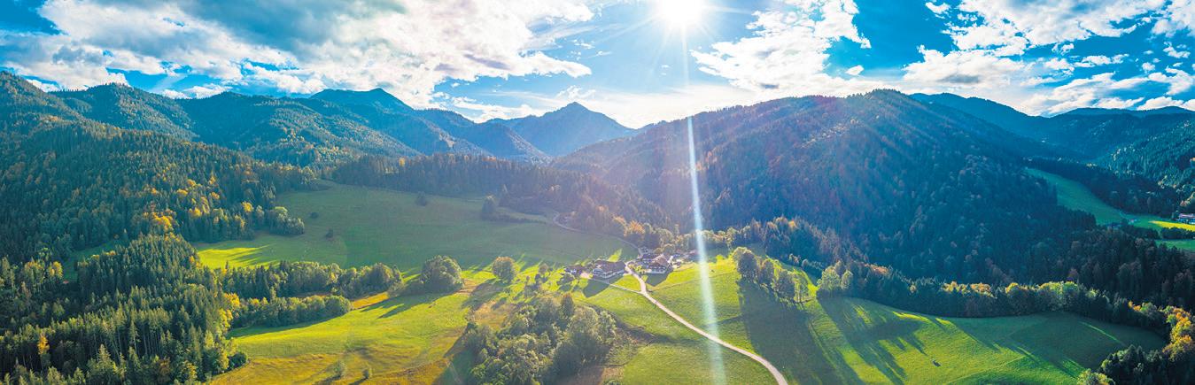 Germany’s National Parks: Bavarian Forest National Park
