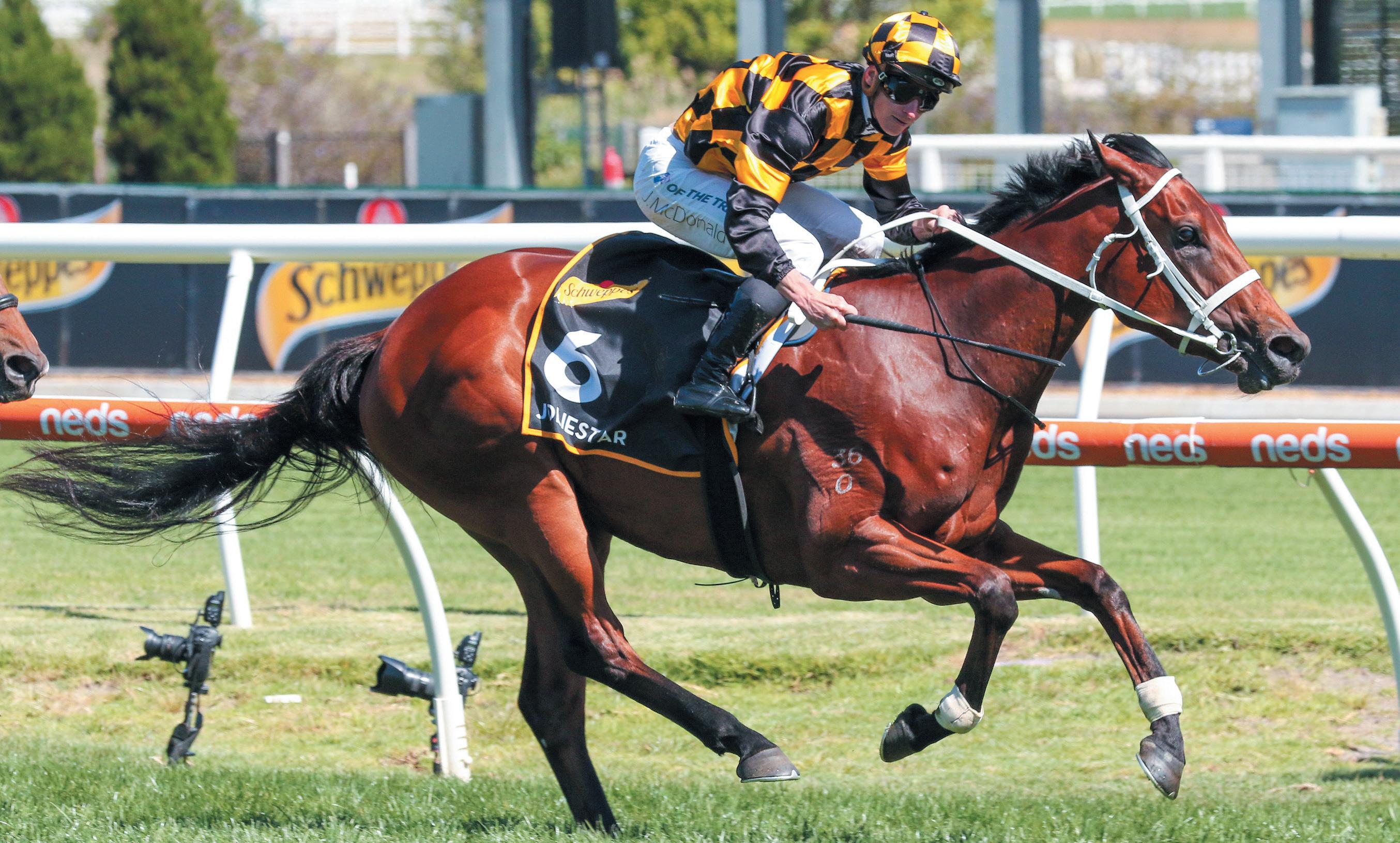 Cover for Segenhoe Stud