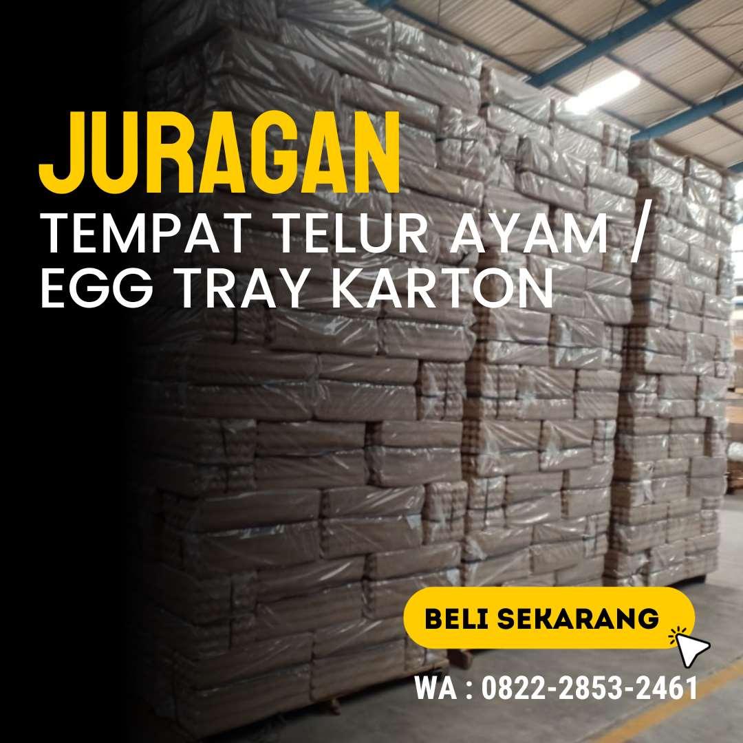 0822-2853-2461 Jual Tempat Telur Ayam Suranenggala, Cirebon