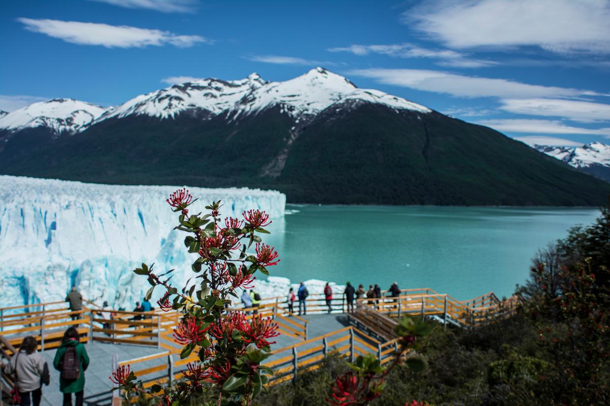 DE EL CALAFATE A LA SELVA NEGRA