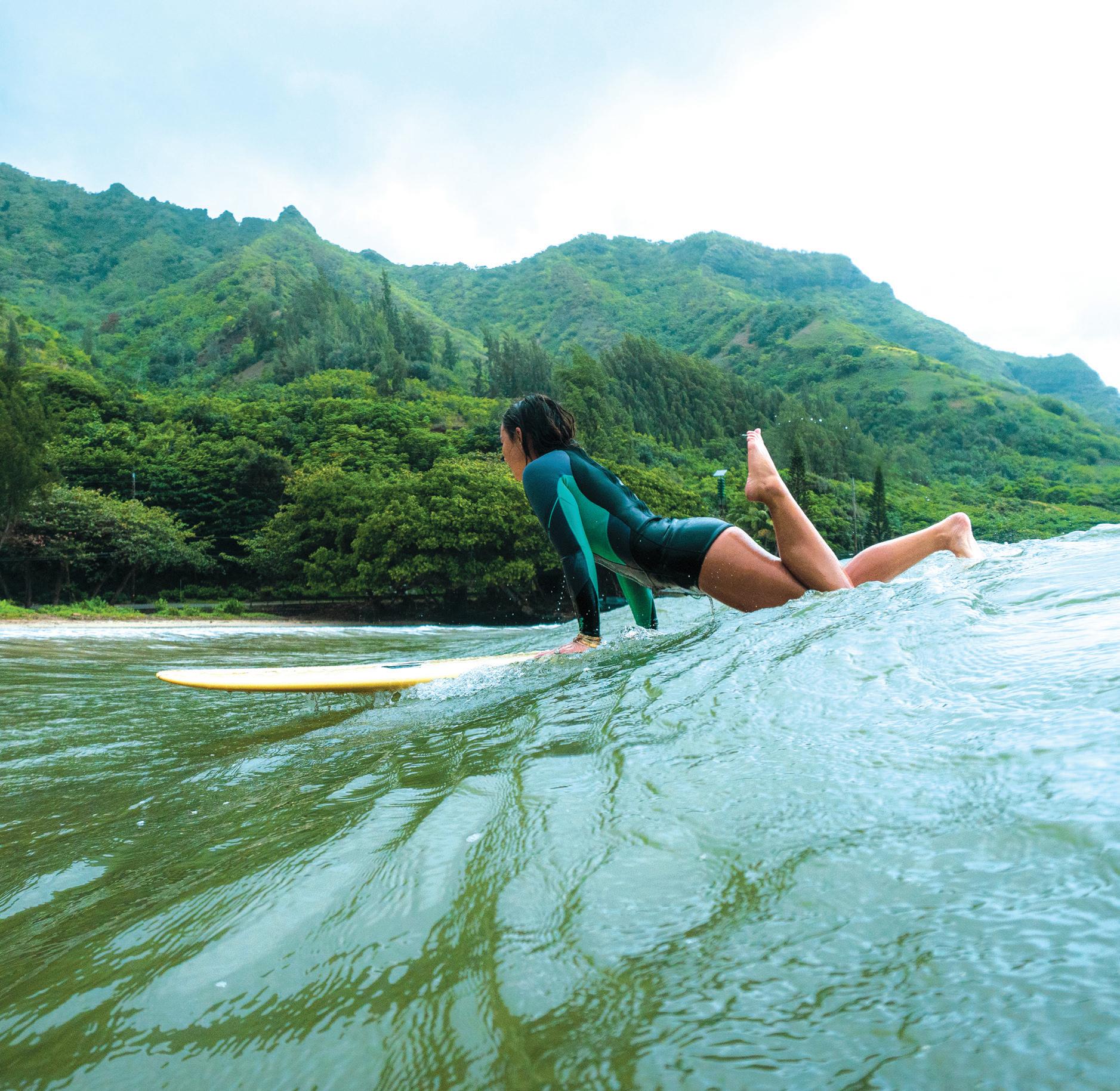 Hawai'i Revisited