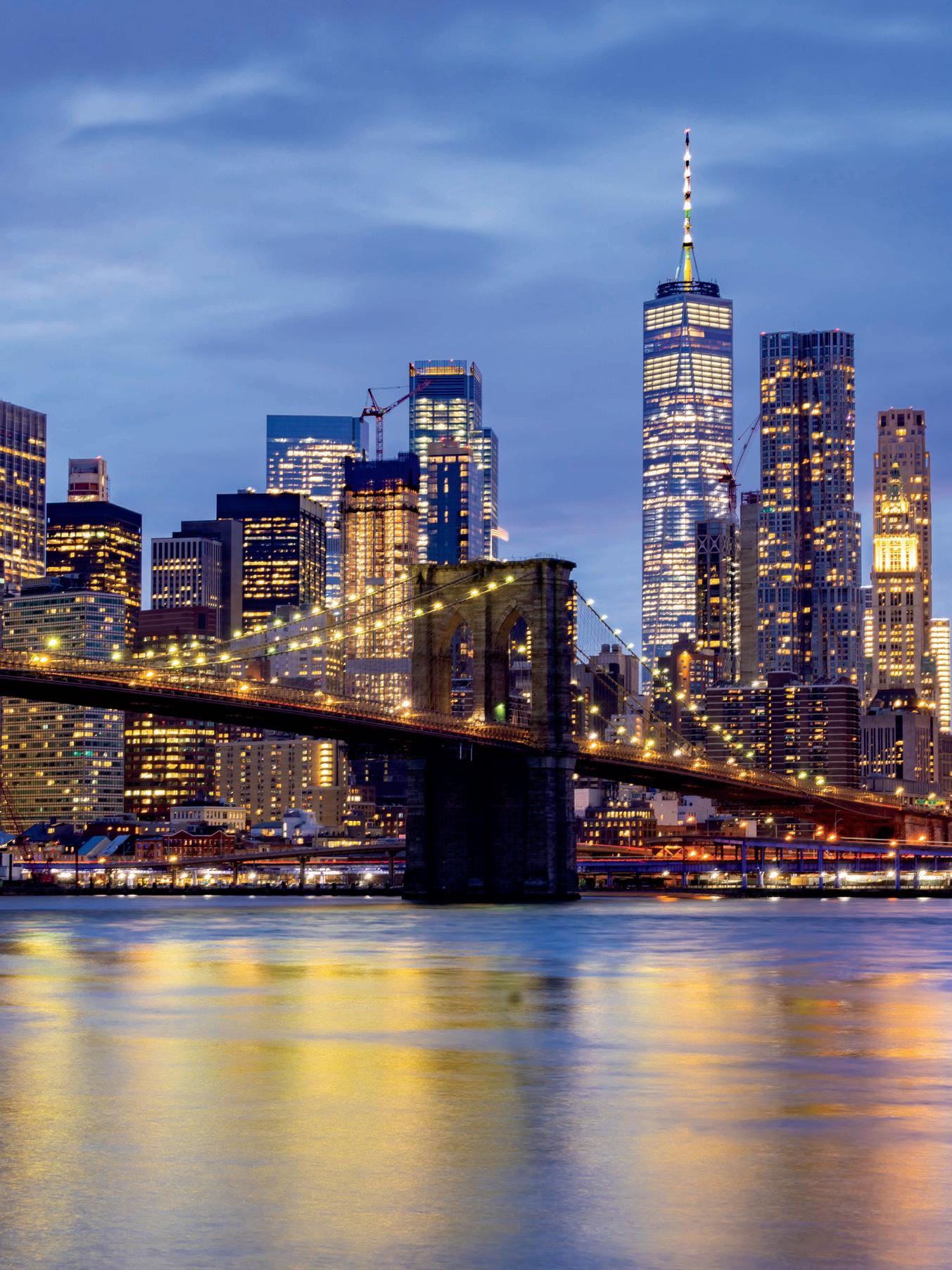 Toward a Singular Goal 100 Years of the New York State Land Title