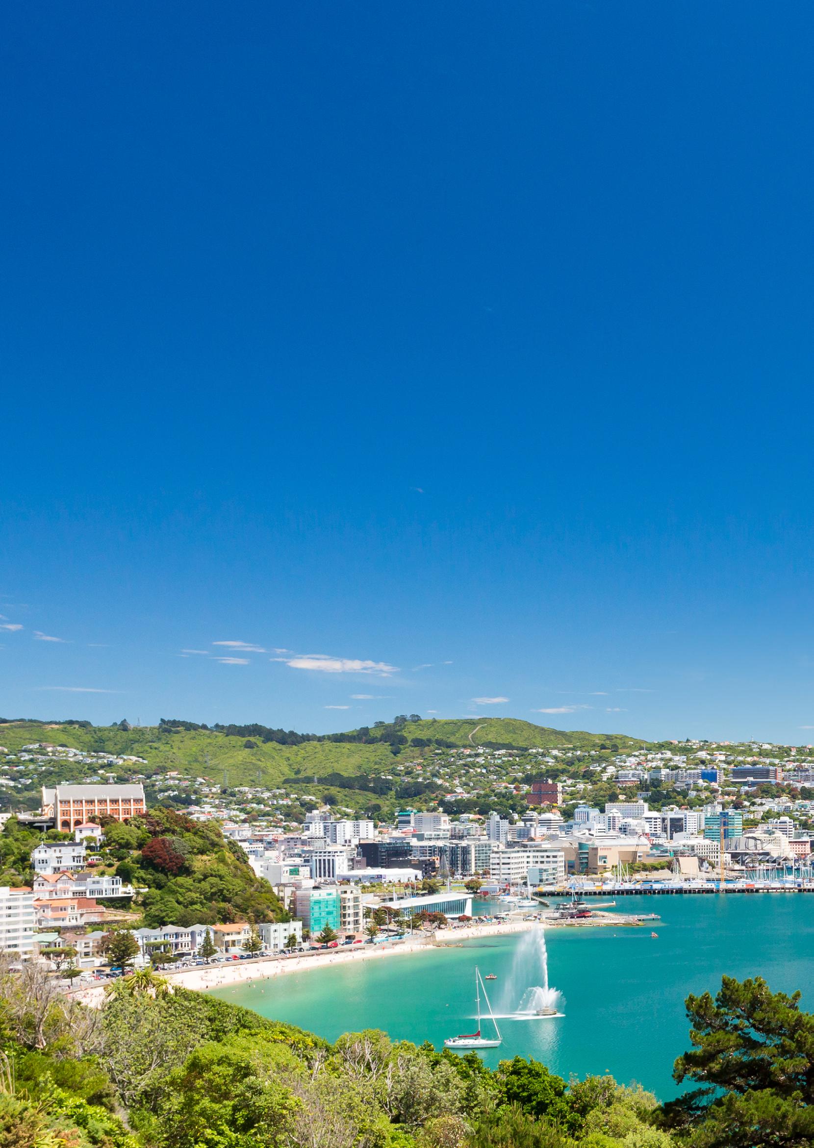 Wellington - you just can't beat it